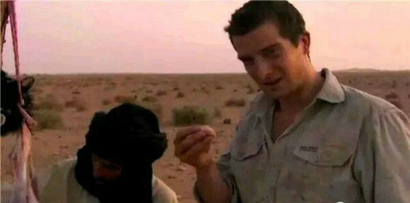 beat365在线登录官网