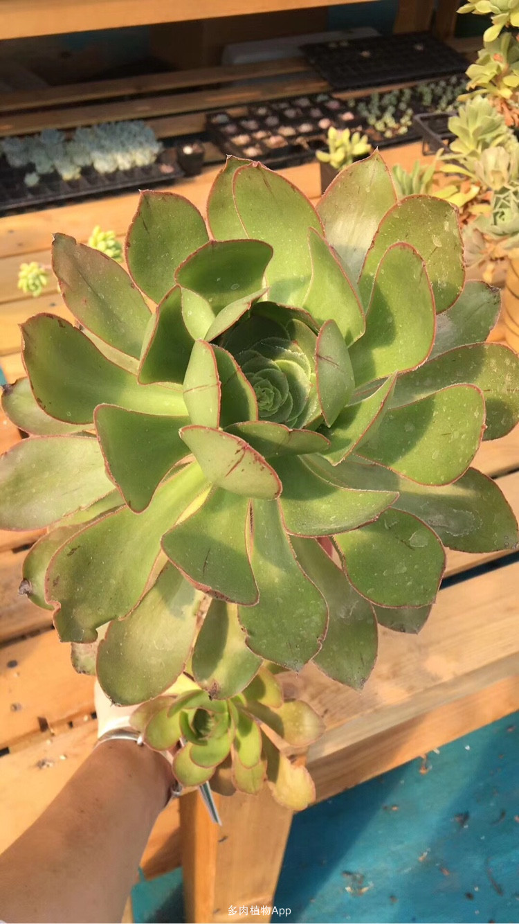 beat365在线官网登录