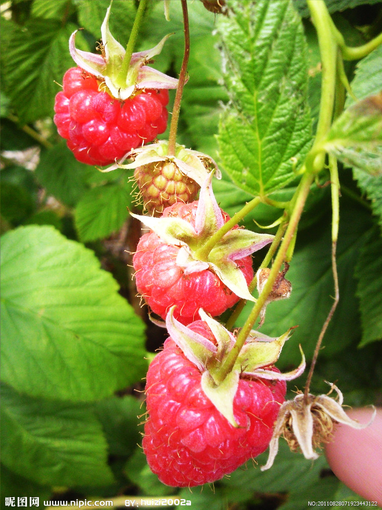 beat365在线登录官网