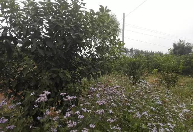 beat365在线登录官网