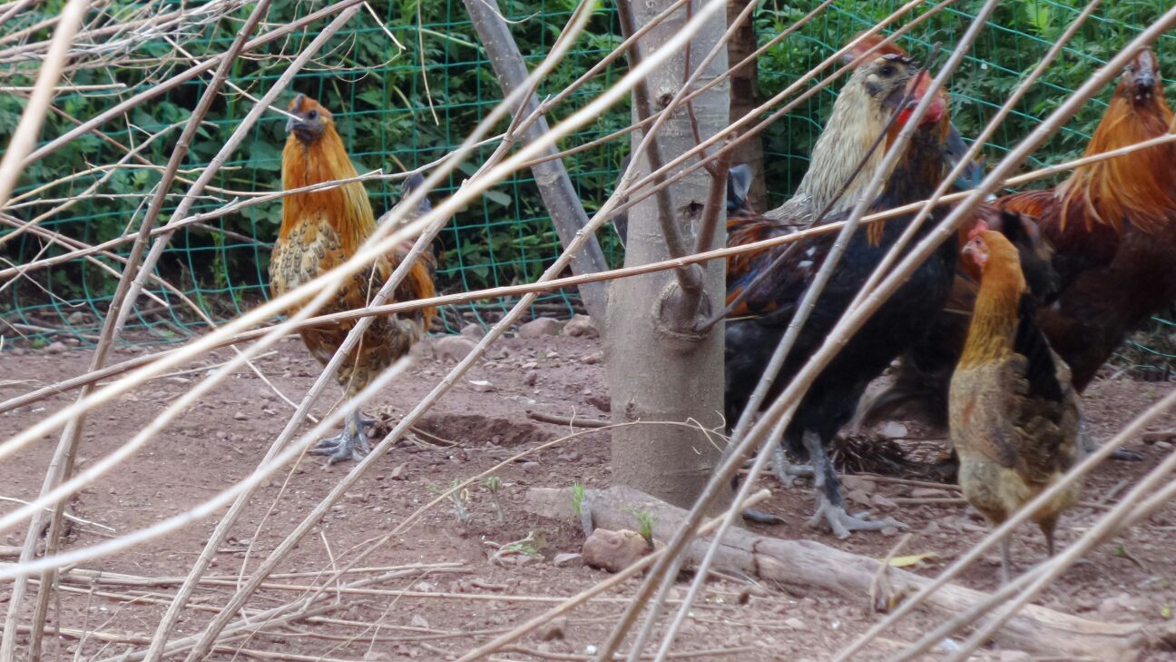 beat365在线官网登录