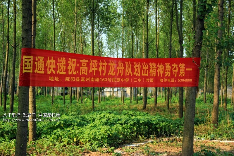 买粉是虚看粉姬为实|beat365(图1) beat365在线官网登录