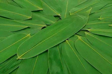 beat365在线登录官网:
三十本完结多年却依旧处于巅峰的小说 本本经典 连刷十遍都不腻(图1) beat365在线登录官网