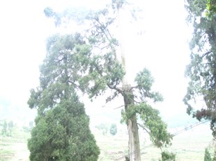 beat365在线登录官网