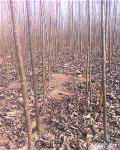 beat365在线登录官网