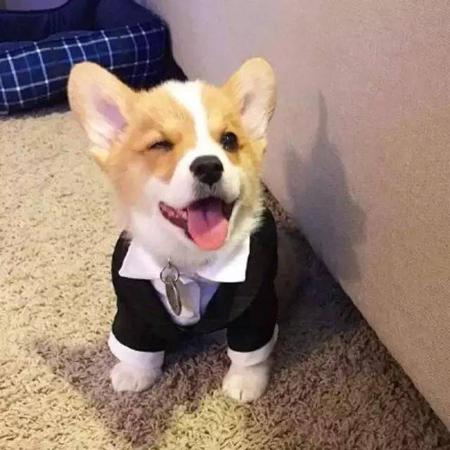 beat365在线官网登录