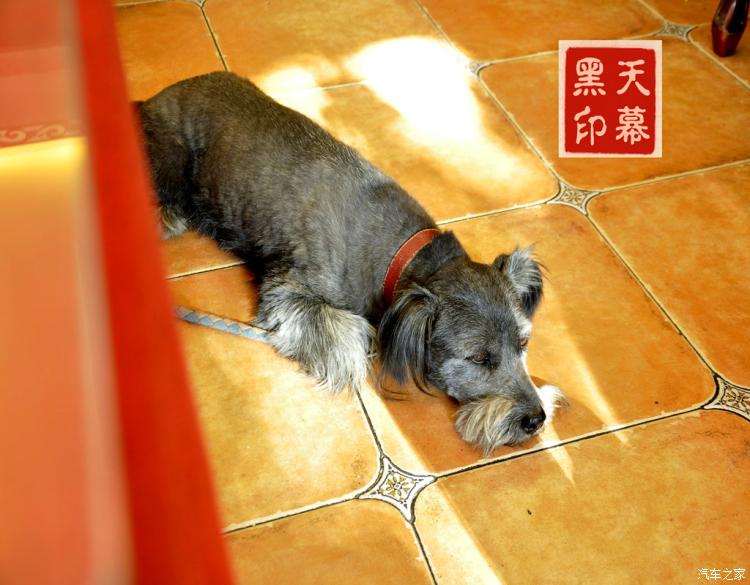 他其实没有那么爱你孙艺荷结局 揭孙艺荷最后和谁一起了:beat365在线登录官网(图1) 他其实没有那么爱你孙艺荷结局 揭孙艺荷最后和谁一起了:beat365在线登录官网(图1)