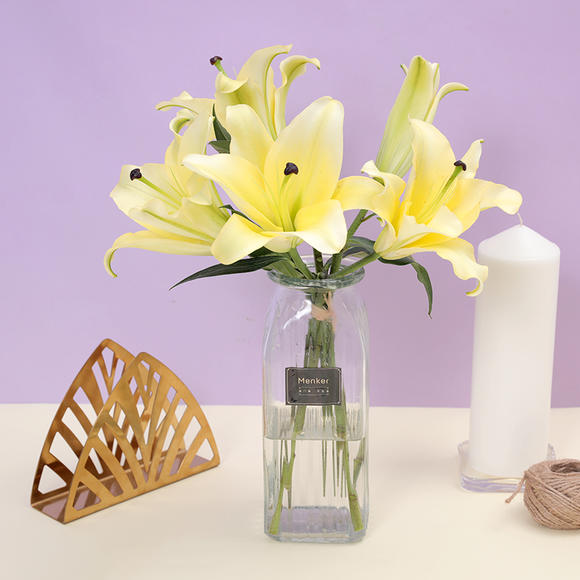 巴西的首都是哪个城市【beat365在线登录官网】(图1) beat365在线官网登录