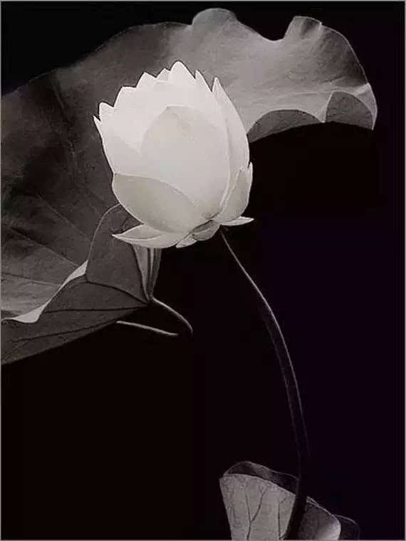 青羊实验附小黄伟‘beat365在线登录官网’(图3) beat365在线官网登录