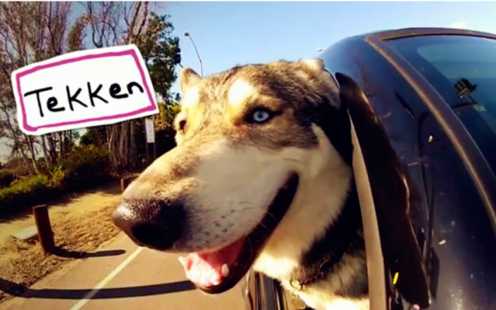 二胎家庭的幸福和瓦解，都在老大的一念之间_beat365在线登录官网(图2)