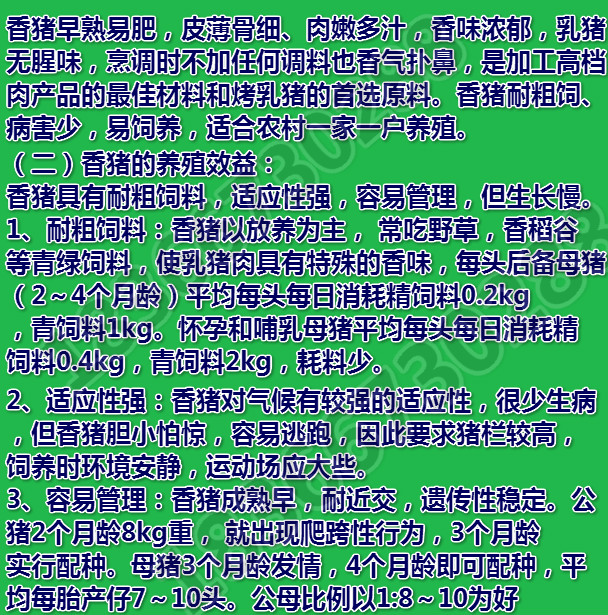 【beat365】尾在兔子后面的狐狸(图3) 【beat365】尾在兔子后面的狐狸(图3)