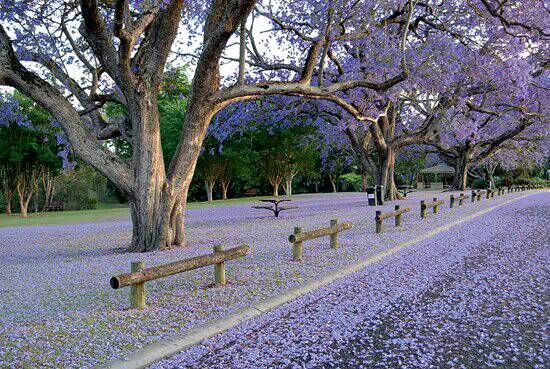 beat365在线官网登录