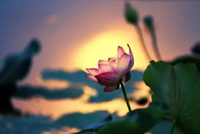 beat365在线官网登录