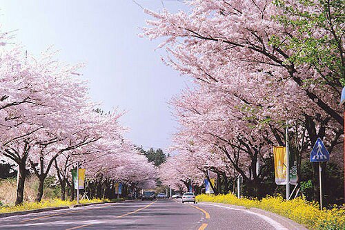 beat365在线登录官网-人生的列车(图1)