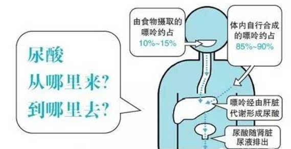 beat365在线登录官网